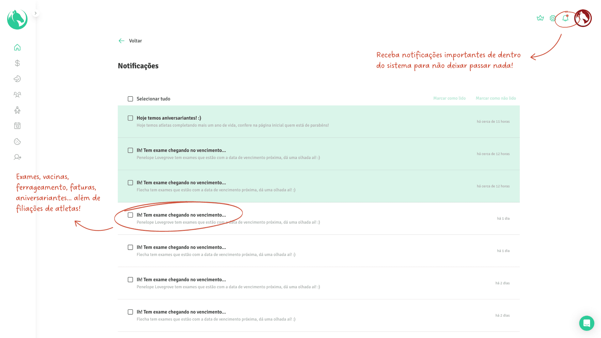 Funcionalidade - Notificações Notificações